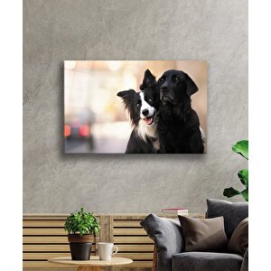 Siyah Beyaz Köpek Cam Tablo 50x70 cm