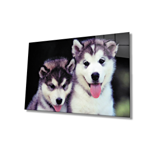 Köpekler Cam Tablo 50x70 cm