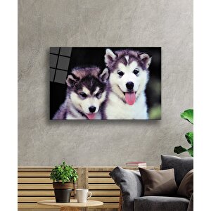 Köpekler Cam Tablo 50x70 cm