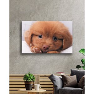 Kahverengi Köpek Cam Tablo 36x23 cm