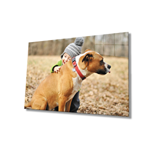 Köpek Ve Çocuk Cam Tablo 36x23 cm
