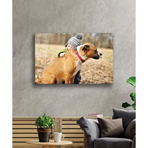 Köpek Ve Çocuk Cam Tablo 36x23 cm