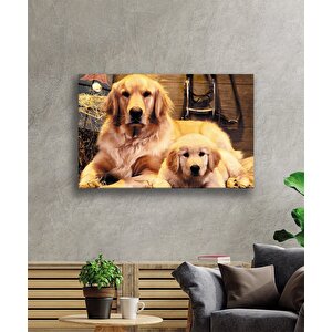 Köpekler 50x70 cm