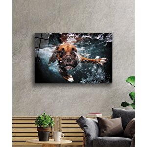 Yüzen Köpek Cam Tablo 50x70 cm