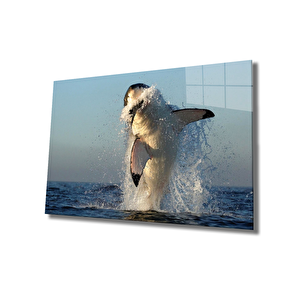 Köpek Balığı Cam Tablo Shark 50x70 cm