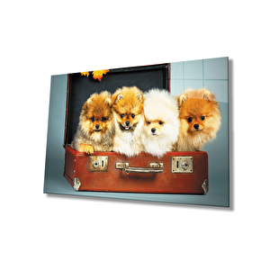 Köpekler Cam Tablo 50x70 cm