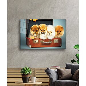 Köpekler Cam Tablo 50x70 cm