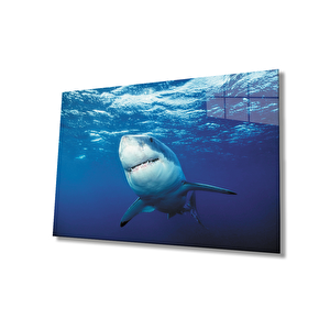Köpek Balığı Sualtı Cam Tablo 36x23 cm