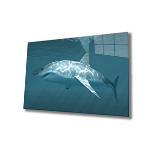 Köpek Balığı Cam Tablo Shark 36x23 cm
