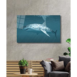 Köpek Balığı Cam Tablo Shark 36x23 cm