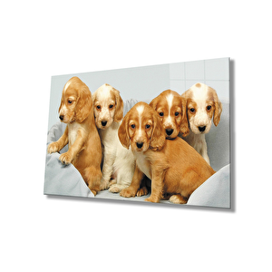 Kahverengi Köpekler 36x23 cm