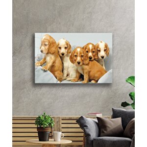 Kahverengi Köpekler 36x23 cm