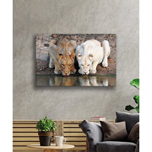 Aslan Cam Tablo 90x60 cm