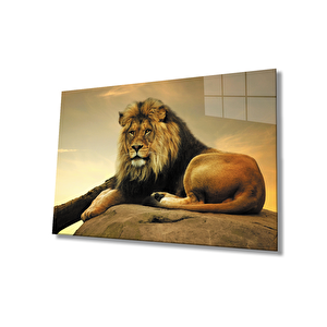 Aslan Cam Tablo 50x70 cm