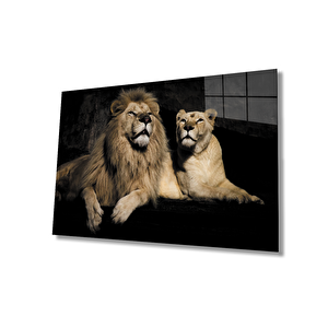 Aslan Cam Tablo 50x70 cm