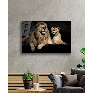 Aslan Cam Tablo 50x70 cm