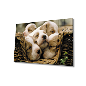 Köpekler Cam Tablo 110x70 cm