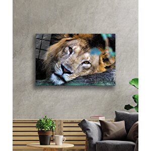 Aslan Cam Tablo 90x60 cm