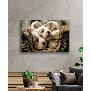 Köpekler Cam Tablo 36x23 cm