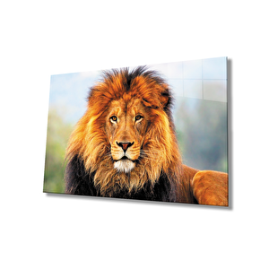 Aslan Cam Tablo 50x70 cm