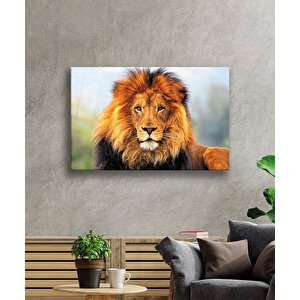 Aslan Cam Tablo 50x70 cm