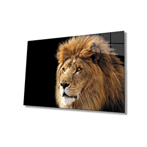 Aslan Cam Tablo 50x70 cm