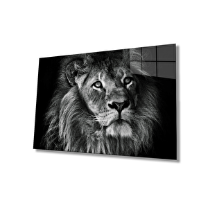 Aslan Cam Tablo 36x23 cm