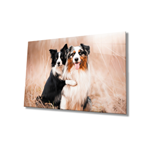 Köpekler Cam Tablo 50x70 cm