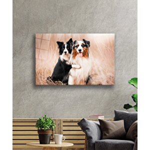 Köpekler Cam Tablo 50x70 cm