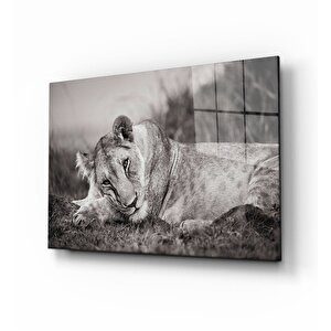 Aslan Cam Tablo 90x60 cm