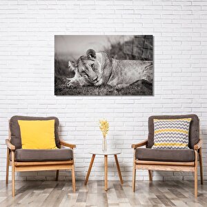 Aslan Cam Tablo 90x60 cm