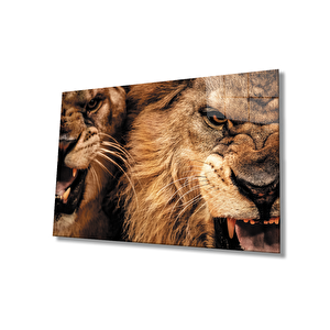Aslan Cam Tablo 90x60 cm