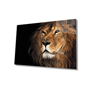 Aslan Cam Tablo 90x60 cm