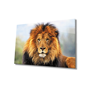 Aslan Cam Tablo 50x70 cm