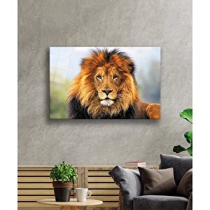 Aslan Cam Tablo 50x70 cm