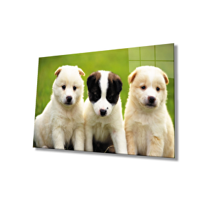 Köpekle Rcam Tablo 50x70 cm