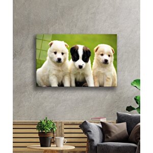 Köpekle Rcam Tablo 90x60 cm