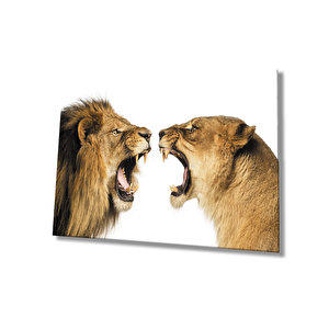 Aslan Cam Tablo 90x60 cm