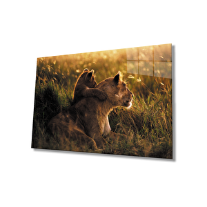 Aslan Cam Tablo 50x70 cm
