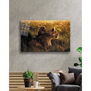 Aslan Cam Tablo 50x70 cm