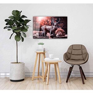 Aslan Cam Tablo 90x60 cm
