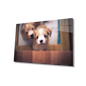 Köpekler Cam Tablo 36x23 cm