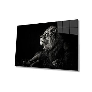 Aslan Cam Tablo 50x70 cm