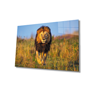 Aslan Cam Tablo 90x60 cm