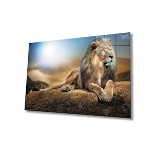 Aslan Cam Tablo 50x70 cm