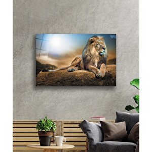 Aslan Cam Tablo 50x70 cm