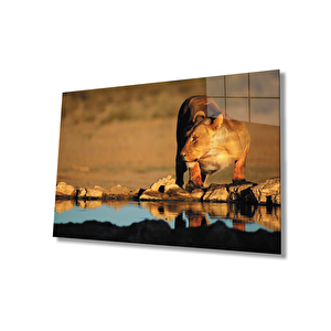 Aslan Cam Tablo 90x60 cm