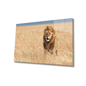 Aslan Cam Tablo 36x23 cm