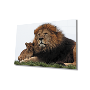 Aslan Cam Tablo 36x23 cm