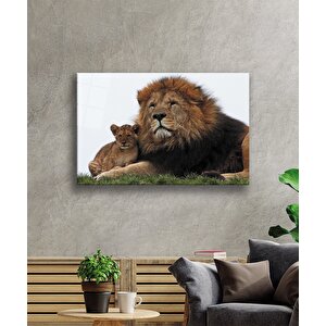 Aslan Cam Tablo 36x23 cm